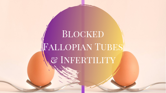 Blocked Fallopian Tubes Revealing Facts That Impact Fertility
