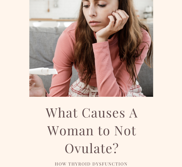 How Thyroid Affects Ovulation